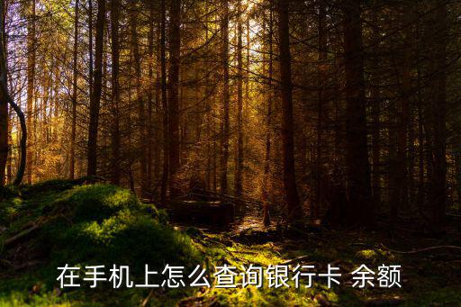 在手機(jī)上怎么查詢銀行卡 余額