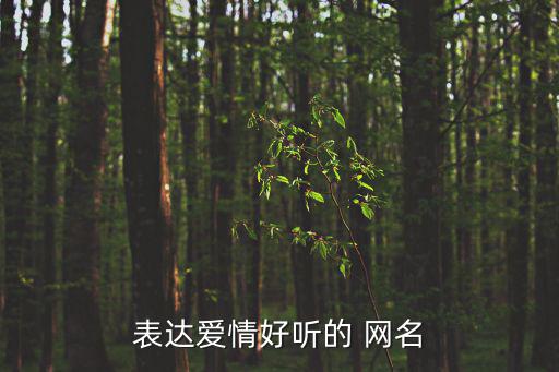 關(guān)于愛的網(wǎng)名,最后的告別!