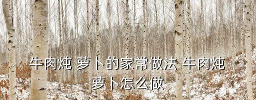  牛肉燉 蘿卜的家常做法 牛肉燉 蘿卜怎么做