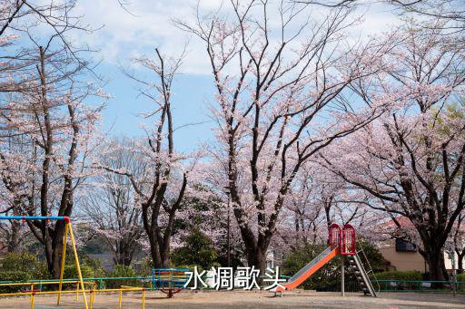  水調歌頭