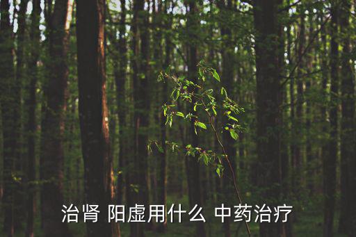 治腎 陽虛用什么 中藥治療