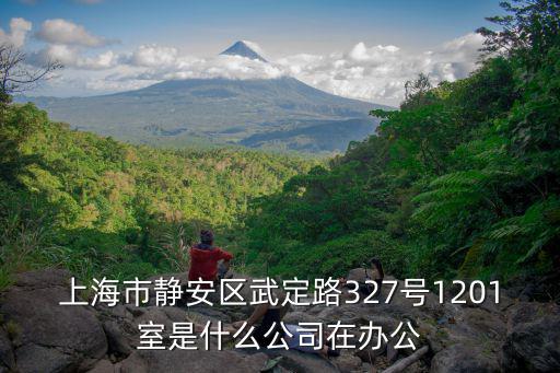 上海市靜安區武定路327號1201室是什么公司在辦公
