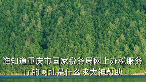 誰知道重慶市國家稅務(wù)局網(wǎng)上辦稅服務(wù)廳的網(wǎng)址是什么求大神幫助