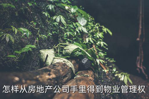 怎樣從房地產(chǎn)公司手里得到物業(yè)管理權(quán)