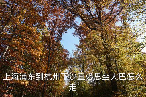 上海浦東到杭州下沙宜必思坐大巴怎么走