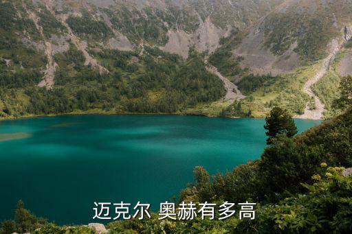 邁克爾 奧赫有多高
