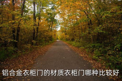 鋁合金衣柜門的材質衣柜門哪種比較好