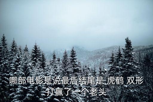 虎鶴雙形,為父報仇!黃飛鴻練成虎鶴雙形拳破金鐘鐵布衫