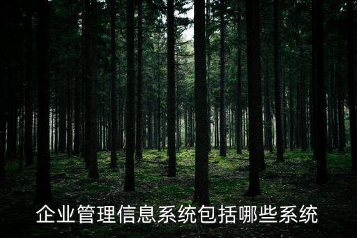 管理信息系統有哪些，企業在線管理信息系統應該包括哪些子系統請描述這些子系統之間的
