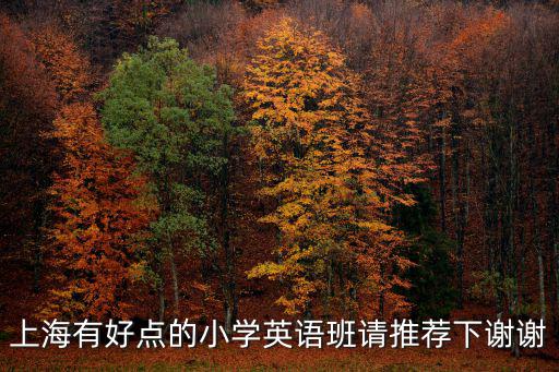 上海市陽(yáng)光小學(xué)英文，上海哪里有好的小升初培訓(xùn)學(xué)校小學(xué)數(shù)學(xué)英語(yǔ)補(bǔ)習(xí)去哪