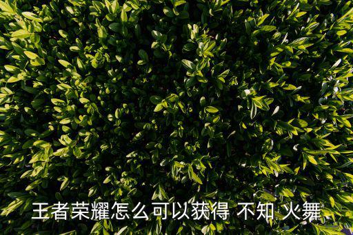不知火舞怎么獲得,不知火舞怎么獲取?點擊進度條即可查看詳情