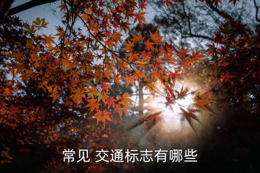 交通標志大全及圖解,警示牌、指示標志等交通標志分類如下