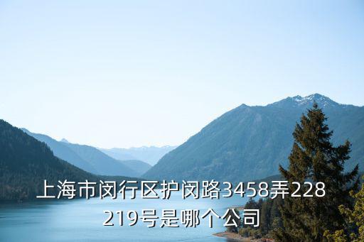 上海市閔行區護閔路3458弄228219號是哪個公司