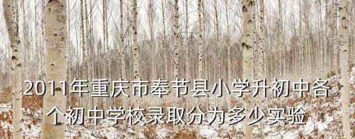 2011年重慶市奉節(jié)縣小學(xué)升初中各個(gè)初中學(xué)校錄取分為多少實(shí)驗(yàn)