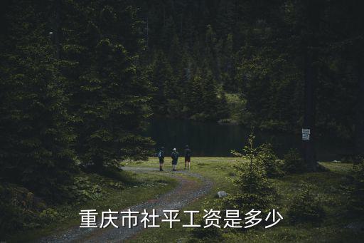 重慶市社平工資是多少