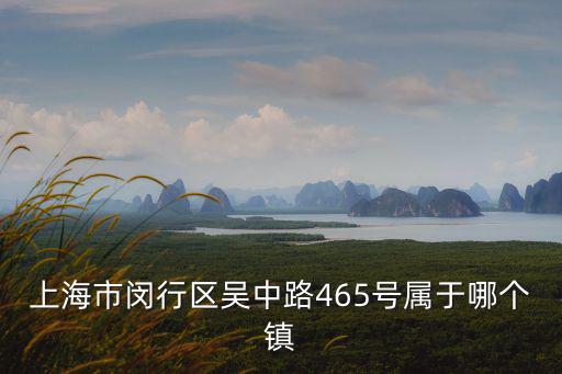 上海市思賢路465弄屬于什么鎮，上海市閔行區吳中路465號屬于哪個鎮