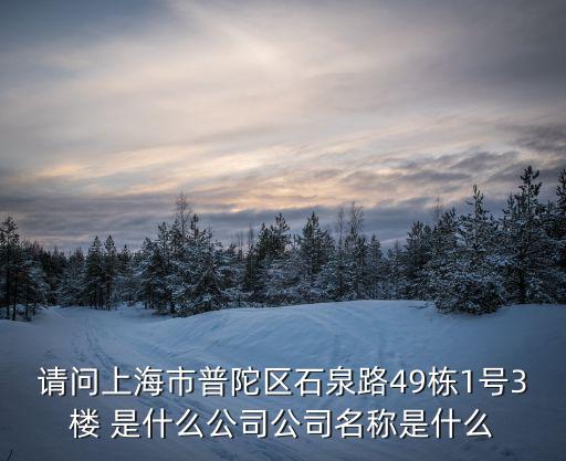請問上海市普陀區石泉路49棟1號3樓 是什么公司公司名稱是什么