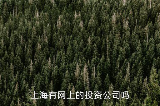 上海有網上的投資公司嗎
