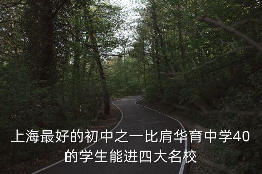 上海最好的初中之一比肩華育中學40的學生能進四大名校