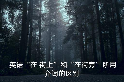  英語(yǔ)“在 街上”和“在街旁”所用介詞的區(qū)別