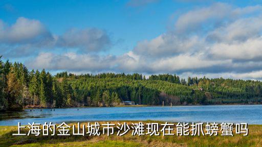 上海市海灘抓螃蟹，上海的金山城市沙灘現在能抓螃蟹嗎