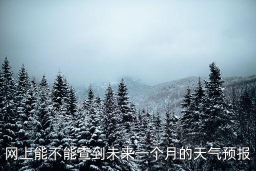 網上能不能查到未來一個月的天氣預報