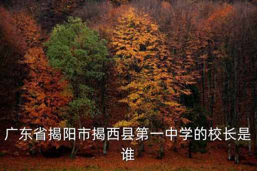 廣東省揭陽(yáng)市揭西縣第一中學(xué)的校長(zhǎng)是誰(shuí)