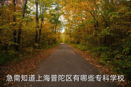 急需知道上海普陀區(qū)有哪些專科學校