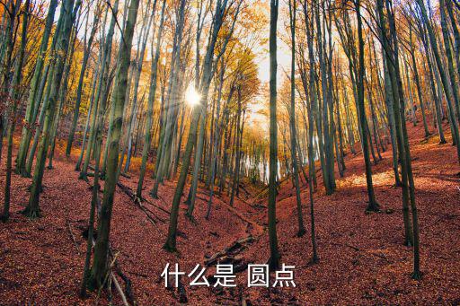 什么是 圓點