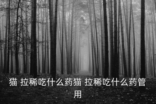 治貓拉稀的特效藥,主人平時(shí)要多注意貓咪飲食和環(huán)境冷暖狀態(tài)