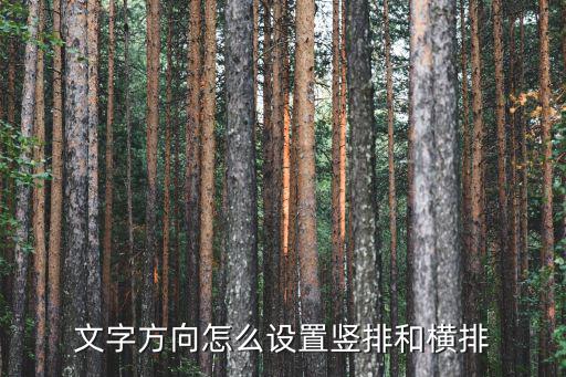 文字方向怎么設置豎排和橫排