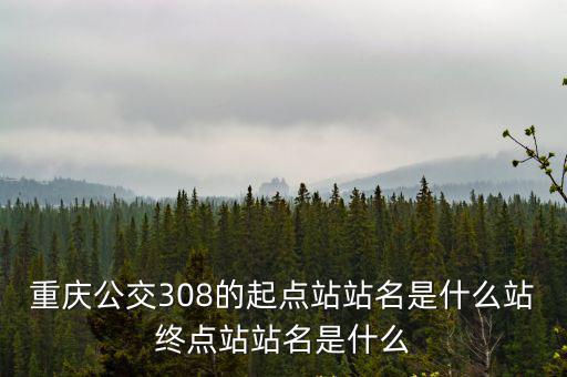 重慶公交308的起點站站名是什么站終點站站名是什么