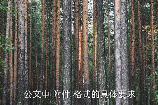 公文格式附件,公文附件不能裝訂在一起應在左上角標注附件