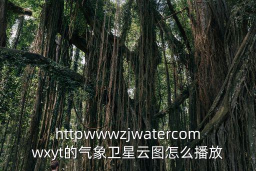 httpwwwzjwatercomwxyt的氣象衛星云圖怎么播放