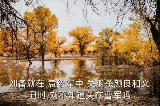袁紹軍,顏良、文丑、郭圖被派去白馬上攻打東郡太守柳巖