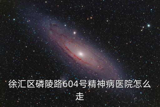 上海市徐匯區精神醫院，上海精神衛生中心在哪