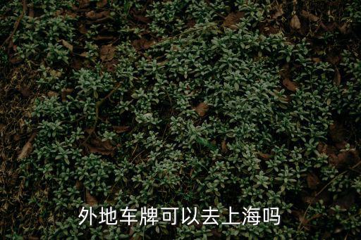 外地車牌可以去上海嗎