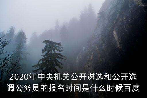2020年中央機(jī)關(guān)公開(kāi)遴選和公開(kāi)選調(diào)公務(wù)員的報(bào)名時(shí)間是什么時(shí)候百度