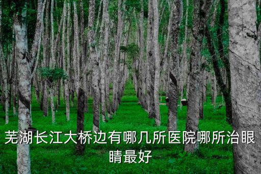 蕪湖長江大橋邊有哪幾所醫(yī)院哪所治眼睛最好