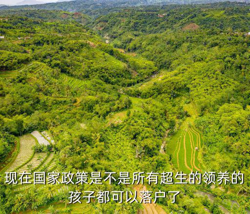現(xiàn)在國家政策是不是所有超生的領(lǐng)養(yǎng)的孩子都可以落戶了