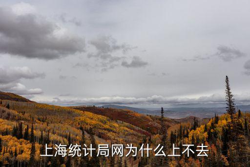上海統計局網為什么上不去