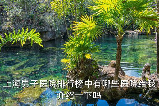 上海男子醫(yī)院排行榜中有哪些醫(yī)院給我介紹一下嗎