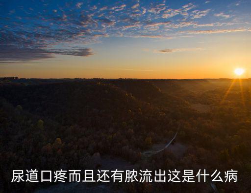 尿道口疼而且還有膿流出這是什么病