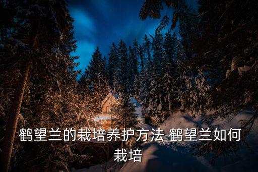 鶴望蘭怎么養(yǎng),養(yǎng)殖鶴望蘭須注意什么?