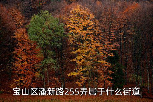 上海市寶山區(qū)信達(dá)藍(lán)庭118號，寶山區(qū)潘新路255弄屬于什么街道