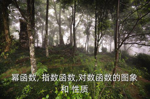 冪函數, 指數函數,對數函數的圖象和 性質