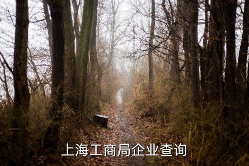 上海工商局企業(yè)查詢