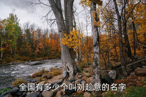 全國有多少個叫劉趁意的名字
