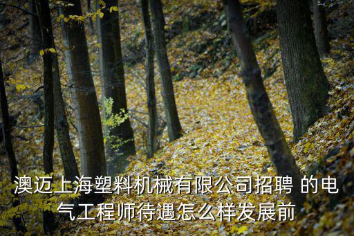 澳邁上海塑料機械有限公司招聘 的電氣工程師待遇怎么樣發展前