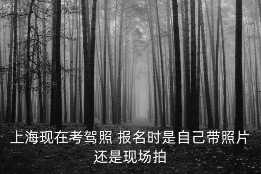 上海現在考駕照 報名時是自己帶照片還是現場拍
